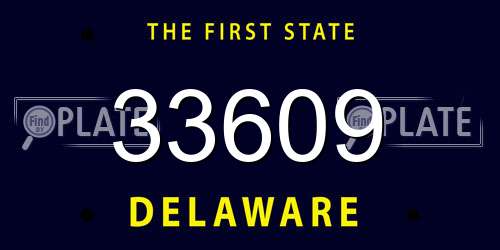 33609 Delaware License Plate