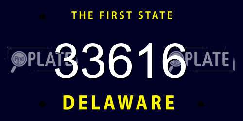 33616 Delaware License Plate