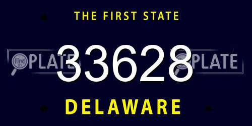 33628 Delaware License Plate