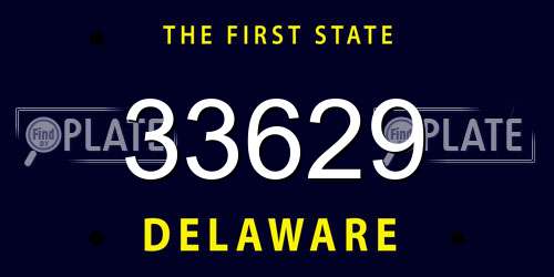 33629 Delaware License Plate