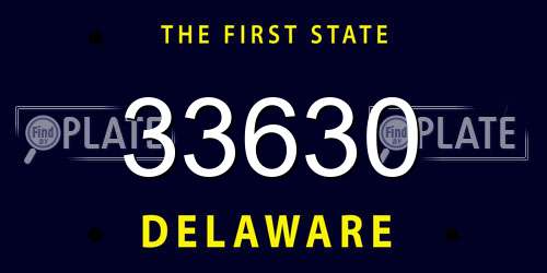 33630 Delaware License Plate