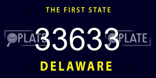 33633 Delaware License Plate