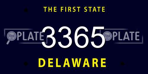 3365 Delaware License Plate