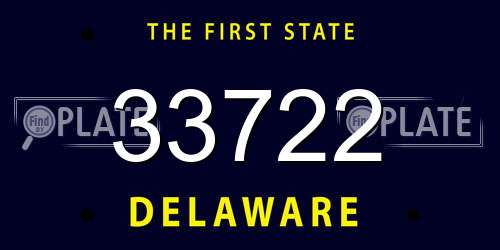33722 Delaware License Plate