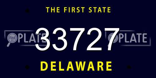 33727 Delaware License Plate