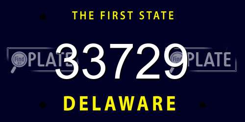 33729 Delaware License Plate