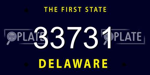 33731 Delaware License Plate