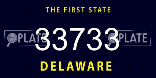 33733 Delaware License Plate