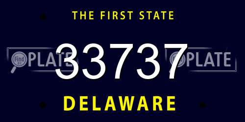 33737 Delaware License Plate