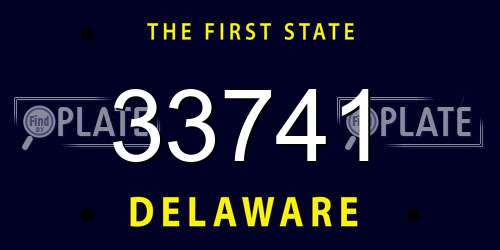 33741 Delaware License Plate