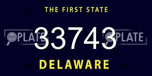 33743 Delaware License Plate