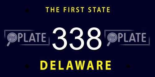 338 Delaware License Plate