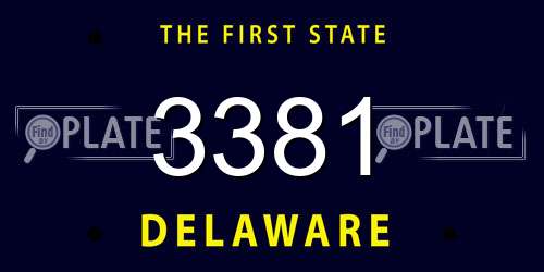 3381 Delaware License Plate