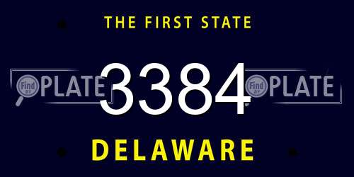 3384 Delaware License Plate