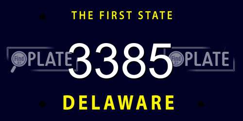 3385 Delaware License Plate