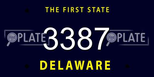 3387 Delaware License Plate