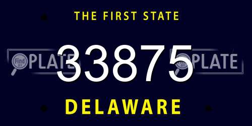 33875 Delaware License Plate