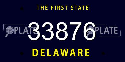 33876 Delaware License Plate