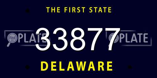 33877 Delaware License Plate