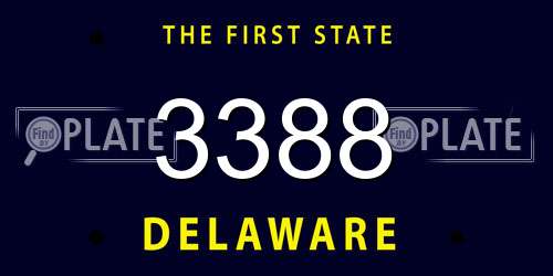 3388 Delaware License Plate