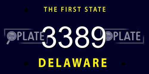 3389 Delaware License Plate