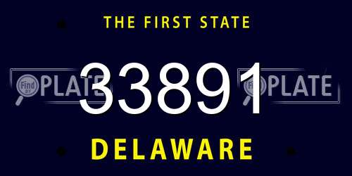 33891 Delaware License Plate