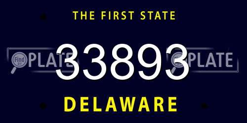 33893 Delaware License Plate