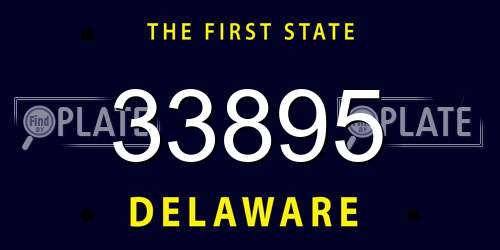 33895 Delaware License Plate