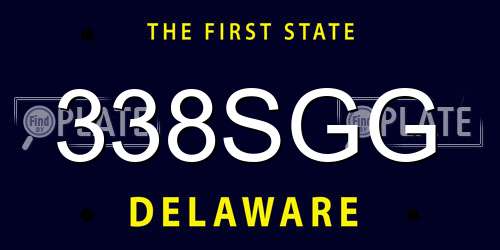 338SGG Delaware License Plate