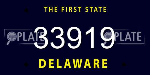 33919 Delaware License Plate