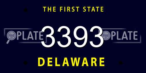 3393 Delaware License Plate