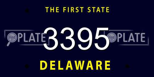 3395 Delaware License Plate