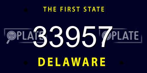 33957 Delaware License Plate