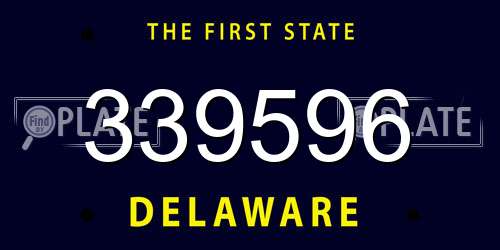 339596 Delaware License Plate