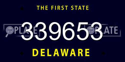 339653 Delaware License Plate