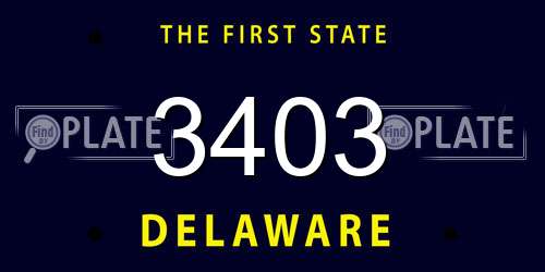 3403 Delaware License Plate