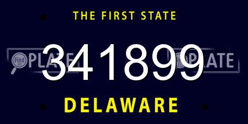 341899 Delaware License Plate