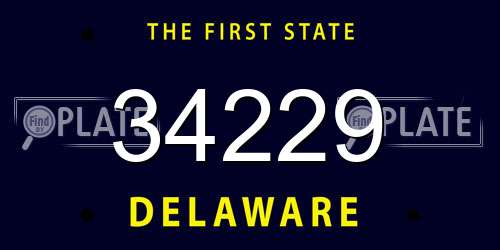 34229 Delaware License Plate