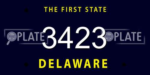 3423 Delaware License Plate