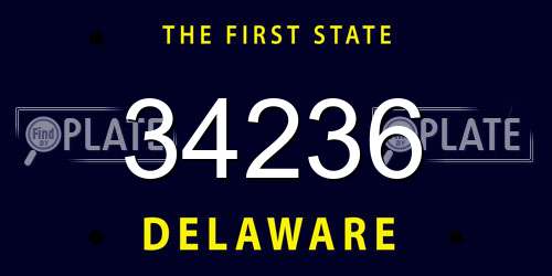 34236 Delaware License Plate