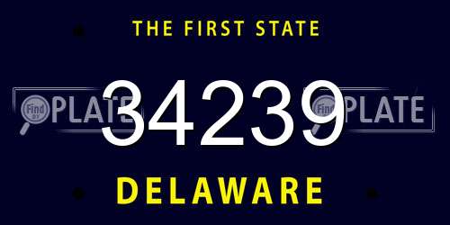 34239 Delaware License Plate