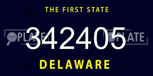 342405 Delaware License Plate