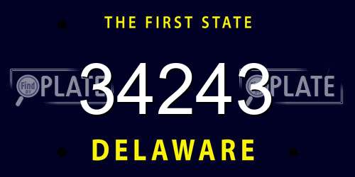 34243 Delaware License Plate