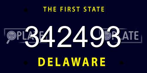 342493 Delaware License Plate