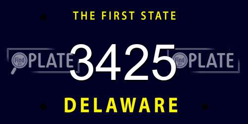 3425 Delaware License Plate