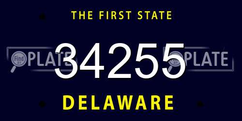 34255 Delaware License Plate