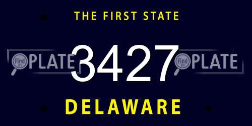 3427 Delaware License Plate