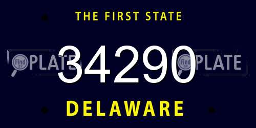 34290 Delaware License Plate