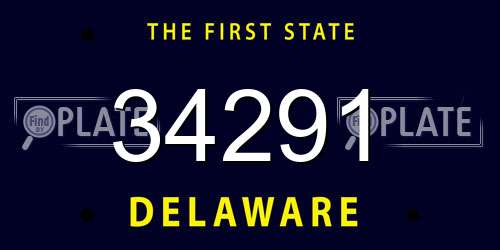 34291 Delaware License Plate