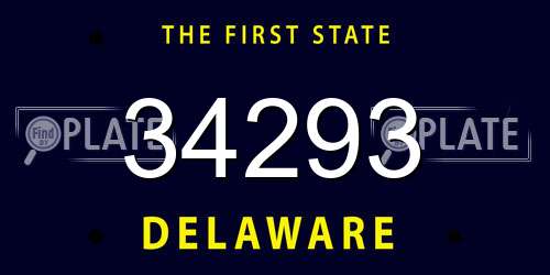 34293 Delaware License Plate